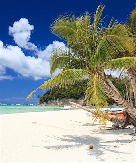 C$ 27 Cheap Flights from Manila to Boracay (MNL .